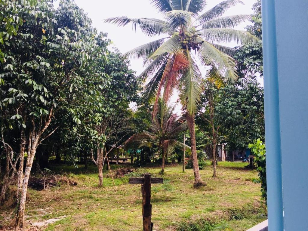 Baan Kalaya Garden  Apartment Ban Muang Mai Bagian luar foto